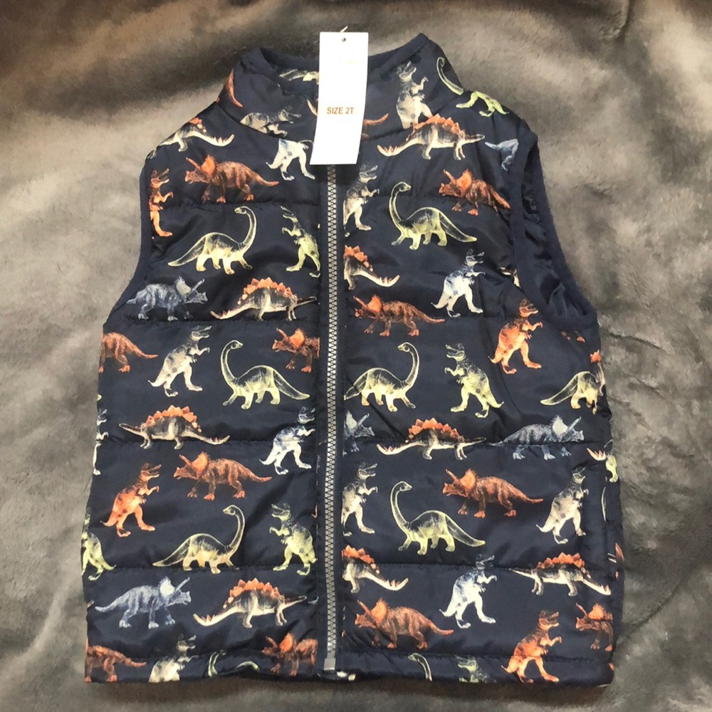 Dinosaur vest